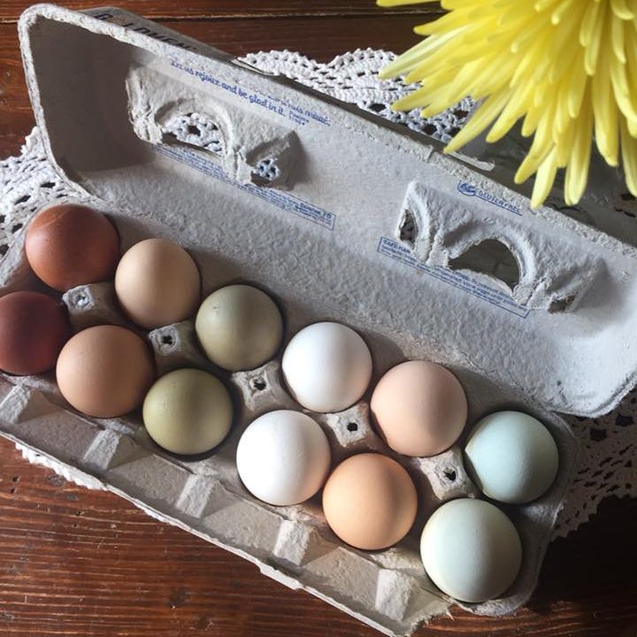 Colorful farm fresh eggs served daily