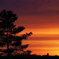 Sunrise at B&B